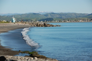 Napier coast